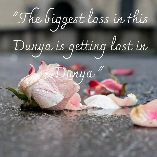 Quote by Tasneem Ara - "The biggest loss in this Dunya is getting lost in Dunya " - Made using Quotes Creator App, Post Maker App