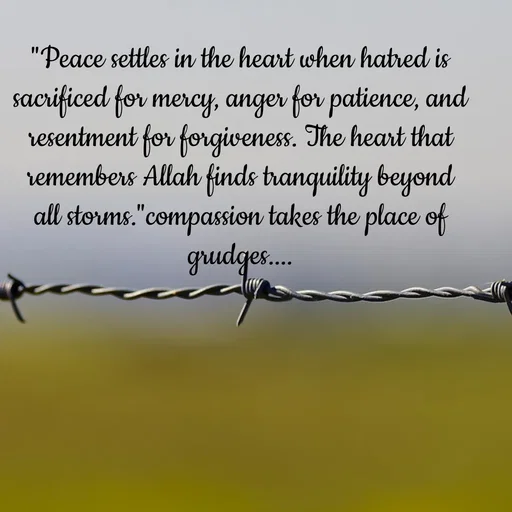 Quote by Tasneem Ara - "Peace settles in the heart when hatred is sacrificed for mercy, anger for patience, and resentment for forgiveness. The heart that remembers Allah finds tranquility beyond all storms."compassion takes the place of grudges.... - Made using Quotes Creator App, Post Maker App