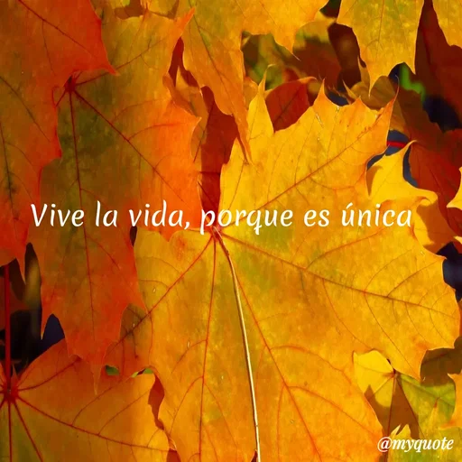 Quote by Míchel González Rodríguez - Vive la vida, porque es única
@myquote
 - Made using Quotes Creator App, Post Maker App