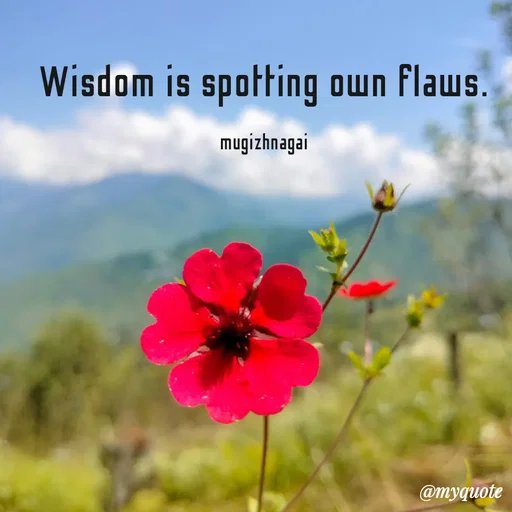Quote by mugizhnagai - Wisdom is spotting own flaws.

mugizhnagai - Made using Quotes Creator App, Post Maker App