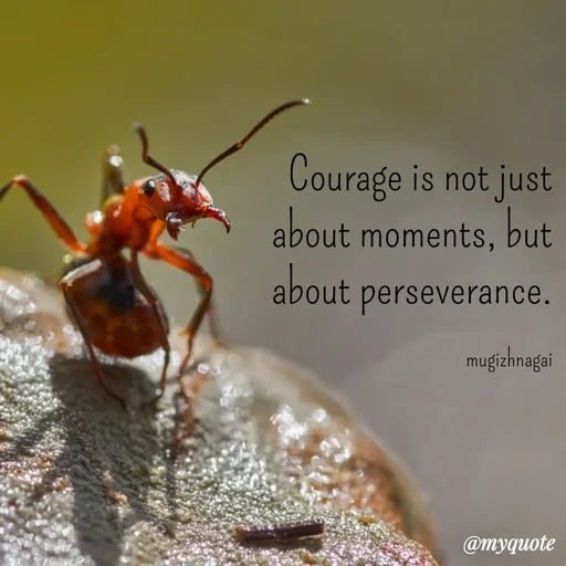Quote by mugizhnagai - Courage is not just about moments, but about perseverance.

mugizhnagai - Made using Quotes Creator App, Post Maker App