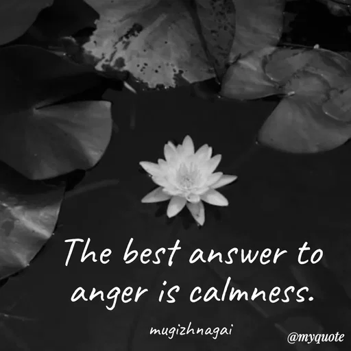 Quote by mugizhnagai - The best answer to anger is calmness.

mugizhnagai - Made using Quotes Creator App, Post Maker App