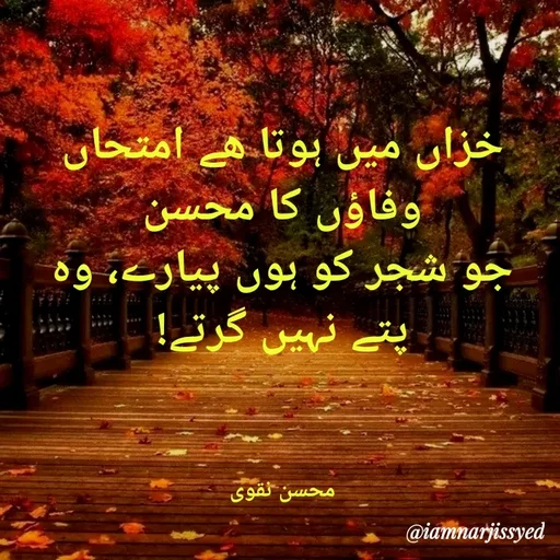 Quote by Narjis Syed - خزاں میں ہوتا ھے امتحاں وفاؤں کا محسن
جو شجر کو ہوں پیارے، وہ پتے نہیں گرتے!



محسن نقوی - Made using Quotes Creator App, Post Maker App