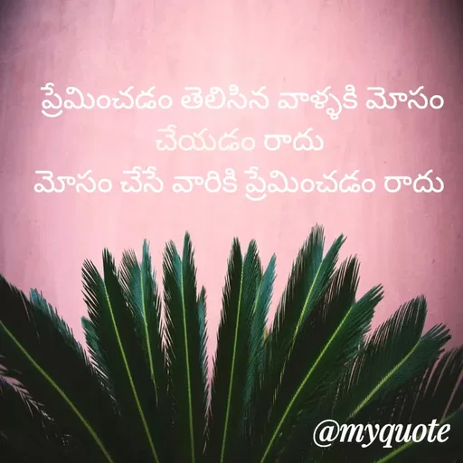 Quote by srinivas yadav - ప్రేమించడం తెలిసిన వాళ్ళకి మోసం చేయడం రాదు 
మోసం చేసే వారికి ప్రేమించడం రాదు  - Made using Quotes Creator App, Post Maker App