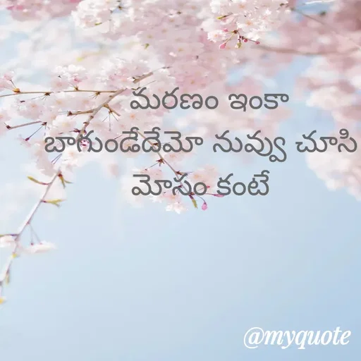 Quote by srinivas yadav -   మరణం ఇంకా బాగుండేదేమో నువ్వు చూసి మోసం కంటే - Made using Quotes Creator App, Post Maker App