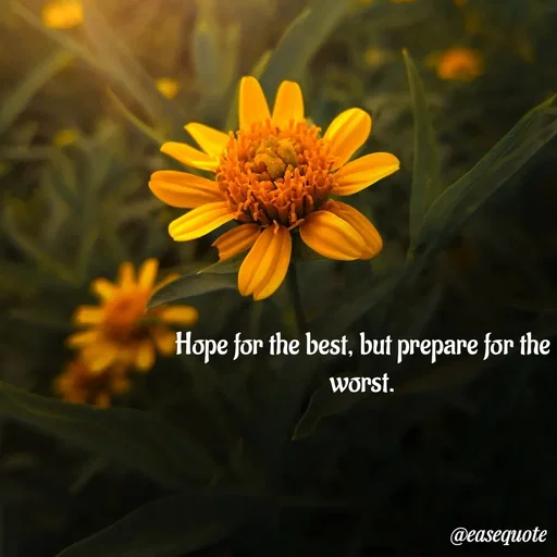 Quote by easeangel - Hope for the best, but prepare for the worst. - Made using Quotes Creator App, Post Maker App