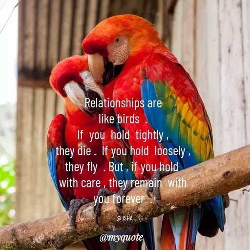 Quote by Isha Saini -  - Made using Quotes Creator App, Post Maker App