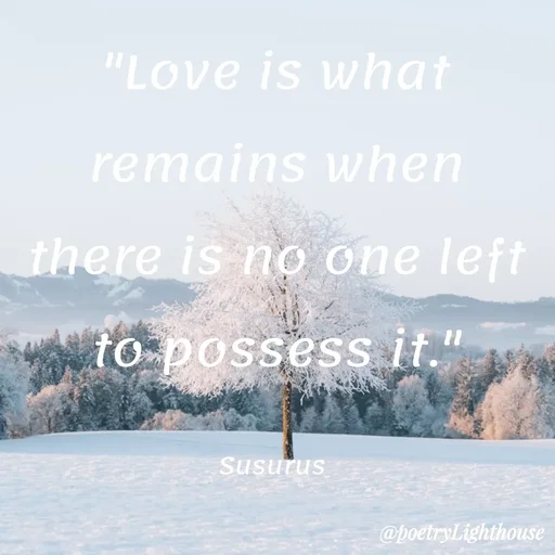 Quote by Lei -  - Made using Quotes Creator App, Post Maker App