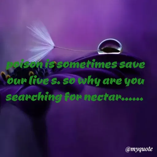 Quote by dream. girl - poison is sometimes save our live s. so why are you searching for nectar......  - Made using Quotes Creator App, Post Maker App