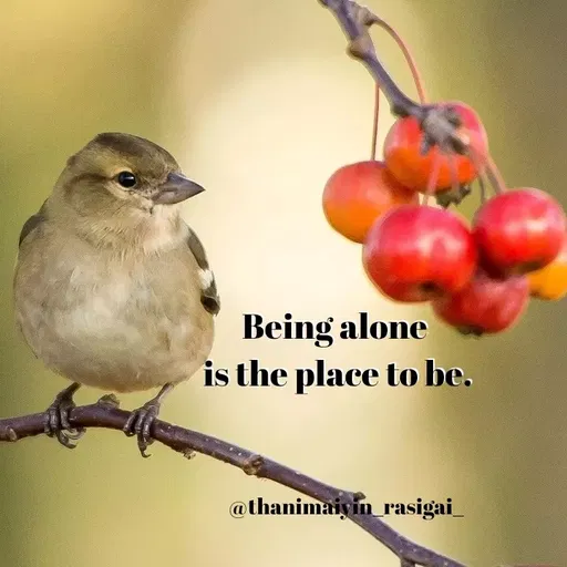 Quote by NIVETHA M - Being alone
is the place to be.
@thanimaiyin_rasigai_
 - Made using Quotes Creator App, Post Maker App