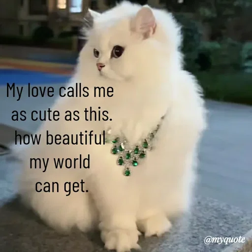 Quote by HEARTWAVES - My love calls me 
as cute as this.
how beautiful 
my world 
can get. - Made using Quotes Creator App, Post Maker App