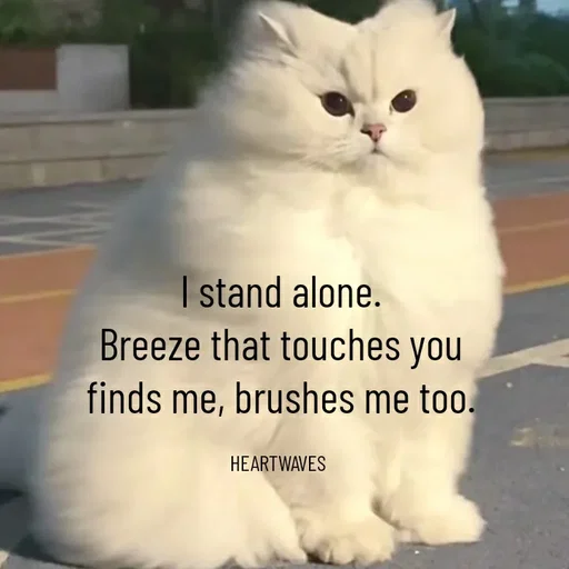 Quote by HEARTWAVES - null - Made using Quotes Creator App, Post Maker App