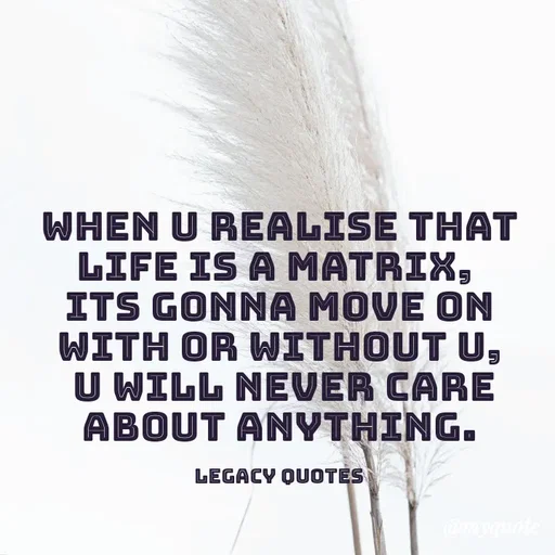 Quote by Legacy Quotes - When u Realise that life is a matrix, 
its gonna move on with or without u,
 u will never care about anything.

Legacy Quotes - Made using Quotes Creator App, Post Maker App