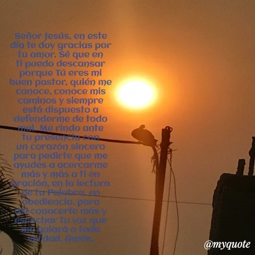 Quote by Ivis Cerrato - Señor Jesús, en este día te doy gracias por tu amor. Sé que en ti puedo descansar porque Tú eres mi buen pastor, quién me conoce, conoce mis caminos y siempre está dispuesto a defenderme de todo mal. Me rindo ante tu presencia con un corazón sincero para pedirte que me ayudes a acercarme más y más a ti en oración, en la lectura de tu Palabra, en obediencia, para así conocerte más y escuchar tu voz que me guiará a toda verdad. Amén.
 - Made using Quotes Creator App, Post Maker App