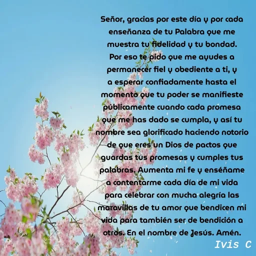 Quote by Ivis Cerrato - Señor, gracias por este día y por cada enseñanza de tu Palabra que me muestra tu fidelidad y tu bondad. Por eso te pido que me ayudes a permanecer fiel y obediente a ti, y a esperar confiadamente hasta el momento que tu poder se manifieste públicamente cuando cada promesa que me has dado se cumpla, y así tu nombre sea glorificado haciendo notorio de que eres un Dios de pactos que guardas tus promesas y cumples tus palabras. Aumenta mi fe y enséñame a contentarme cada día de mi vida para celebrar con mucha alegría las maravillas de tu amor que bendicen mi vida para también ser de bendición a otros. En el nombre de Jesús. Amén. - Made using Quotes Creator App, Post Maker App