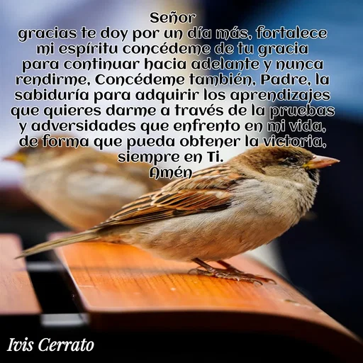 Quote by Ivis Cerrato - Señor
gracias te doy por un día más, fortalece mi espíritu concédeme de tu gracia para continuar hacia adelante y nunca rendirme, Concédeme también, Padre, la sabiduría para adquirir los aprendizajes que quieres darme a través de la pruebas y adversidades que enfrento en mi vida, de forma que pueda obtener la victoria, siempre en Ti. 
Amén  - Made using Quotes Creator App, Post Maker App