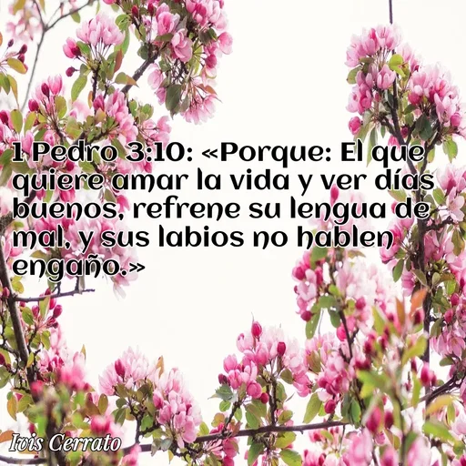 Quote by Ivis Cerrato - 1 Pedro 3:10: «Porque: El que quiere amar la vida y ver días buenos, refrene su lengua de mal, y sus labios no hablen engaño.» - Made using Quotes Creator App, Post Maker App