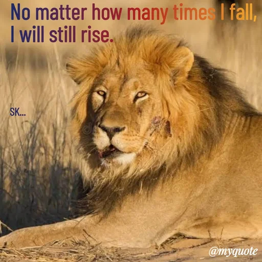 Quote by Surender -  - Made using Quotes Creator App, Post Maker App