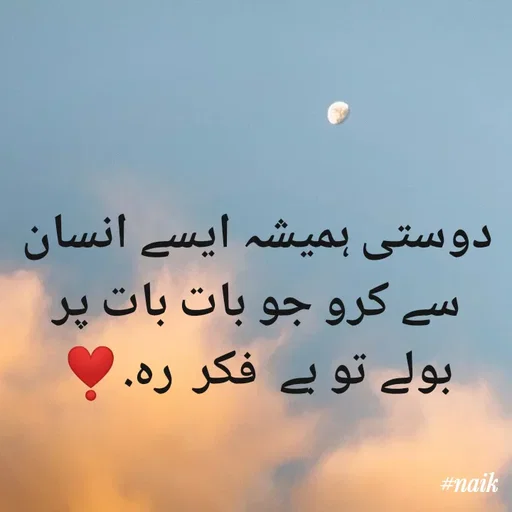 Quote by Naik - دوستی ہمیشہ ایسے انسان سے کرو جو بات بات پر بولے تو بے  فکر  رہ.❣️ - Made using Quotes Creator App, Post Maker App