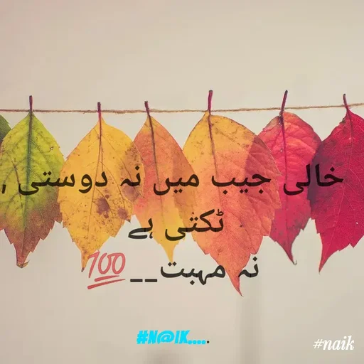 Quote by Naik - خالی جیب میں نہ دوستی , ٹکتی ہے 
نہ مہبت__💯


#n@ik..... - Made using Quotes Creator App, Post Maker App
