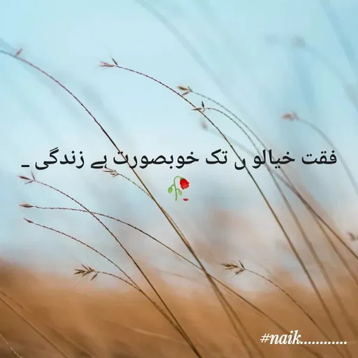 Quote by Naik - فقت خیالو ں تک خوبصورت ہے زندگی _🥀 - Made using Quotes Creator App, Post Maker App