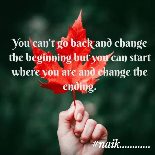 Quote by Naik - You can't go back and change the beginning but you can start where you are and change the ending. - Made using Quotes Creator App, Post Maker App