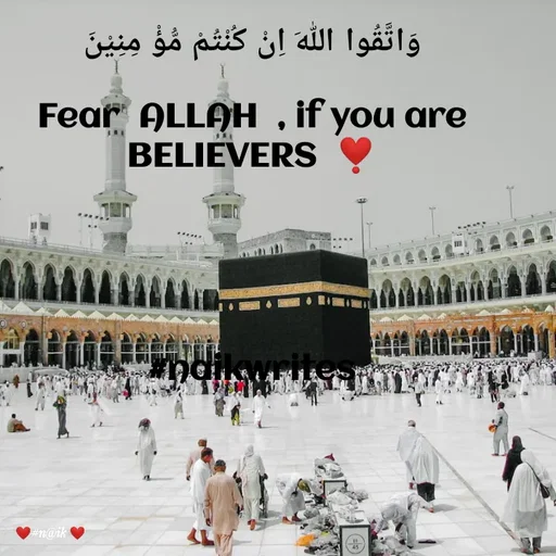 Quote by thinking  minds - وَاتَّقُوا اللّٰهَ اِنْ کُنْتُمْ مُّؤْ مِنِیْنَ

 Fear  ALLAH  , if you are 
BELIEVERS  ❣️




           
#naikwrites - Made using Quotes Creator App, Post Maker App