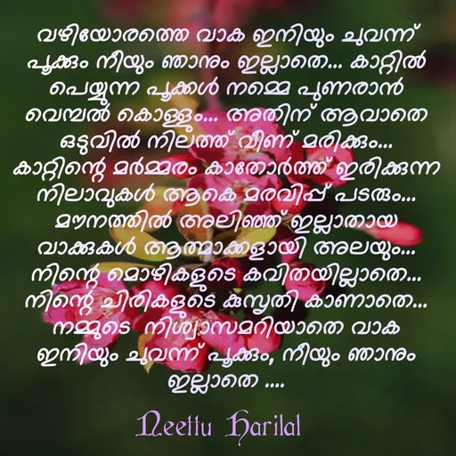 Quote by Neettu Harilal - വഴിയോരത്തെ വാക ഇനിയും ചുവന്ന് പൂക്കും നീയും ഞാനും ഇല്ലാതെ... കാറ്റിൽ പെയ്യുന്ന പൂക്കൾ നമ്മെ പുണരാൻ വെമ്പൽ കൊള്ളും... അതിന് ആവാതെ ഒടുവിൽ നിലത്ത് വീണ് മരിക്കും... കാറ്റിന്റെ മർമ്മരം കാതോർത്ത് ഇരിക്കുന്ന നിലാവുകൾ ആകെ മരവിപ്പ് പടരും... മൗനത്തിൽ അലിഞ്ഞ് ഇല്ലാതായ വാക്കുകൾ ആത്മാക്കളായി അലയും... നിന്റെ മൊഴികളുടെ കവിതയില്ലാതെ... നിന്റെ ചിരികളുടെ കുസൃതി കാണാതെ... നമ്മുടെ  നിശ്വാസമറിയാതെ വാക ഇനിയും ചുവന്ന് പൂക്കും, നീയും ഞാനും ഇല്ലാതെ .... - Made using Quotes Creator App, Post Maker App
