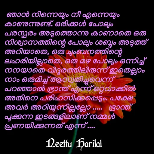 Quote by Neettu Harilal -  ഞാൻ നിന്നെയും നീ എന്നെയും കാണുന്നുണ്ട്. ഒരിക്കൾ പോലും പരസ്പരം അടുത്തൊന്നു കാണാതെ ഒരു നിശ്വാസത്തിന്റെ പോലും ശബ്ദം അടുത്ത് അറിയാതെ, ഒരു ചുംബനത്തിന്റെ ലഹരിയില്ലാതെ, ഒരു മഴ പോലും ഒന്നിച്ച് നനയാതെ വിദൂരത്തിലിരുന്ന് ഇതെല്ലാം നാം ഒരുമിച്ച് ആസ്വതിച്ചുവെന്ന് പറഞ്ഞാൽ ഭ്രാന്ത് എന്ന് ഒറ്റവാക്കിൽ അതിനെ പരിഹസിക്കപ്പെടും. പക്ഷേ അവർ അറിയുന്നില്ലല്ലോ .....   ഭ്രാന്ത് പൂക്കുന്ന ഇടങ്ങളിലാണ് നമ്മൾ പ്രണയിക്കുന്നത് എന്ന് .... - Made using Quotes Creator App, Post Maker App
