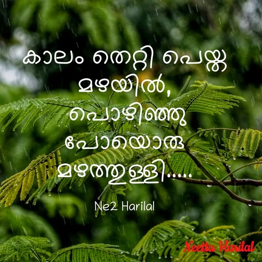Quote by Neettu Harilal - കാലം തെറ്റി പെയ്ത മഴയിൽ,
 പൊഴിഞ്ഞു പോയൊരു മഴത്തുള്ളി.....

Ne2 Harilal - Made using Quotes Creator App, Post Maker App