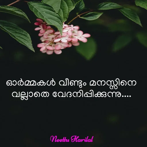 Quote by Neettu Harilal - ഓർമ്മകൾ വീണ്ടും മനസ്സിനെ വല്ലാതെ വേദനിപ്പിക്കുന്നു.... - Made using Quotes Creator App, Post Maker App