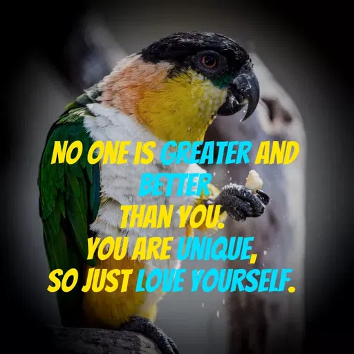 Quote by Pooja Baghel - NO ONE IS CREATER AND
ERS
THAN VOU
YOU ARE NIQUE,
SO JUST LOVE YOURSELF.
 - Made using Quotes Creator App, Post Maker App