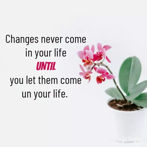 Quote by Pooja Baghel - Changes never come in your life
UNTIL
you let them come un your life.  - Made using Quotes Creator App, Post Maker App