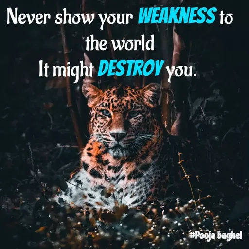 Quote by Pooja Baghel - Never show your weakness to the world
It might destroy you.  - Made using Quotes Creator App, Post Maker App
