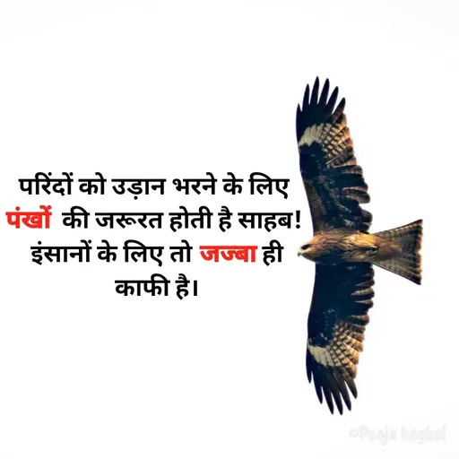 Quote by Pooja Baghel - परिंदों को उड़ान भरने के लिए 
पंखों  की जरूरत होती है साहब! 
इंसानों के लिए तो जज्बा ही
काफी है। - Made using Quotes Creator App, Post Maker App
