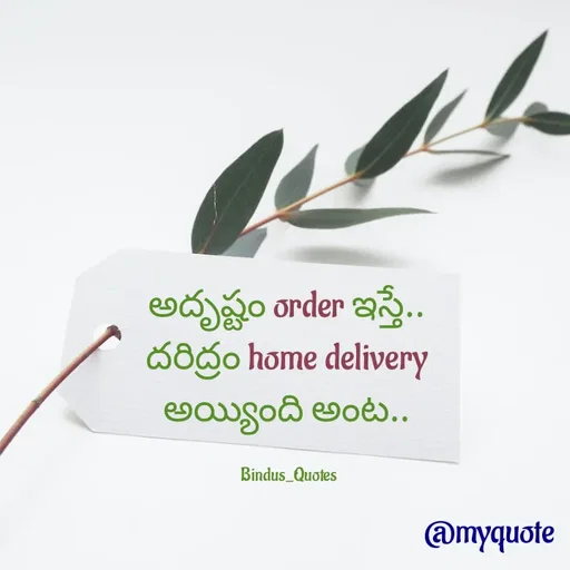 Quote by Bindu_Quotes_Writer - అదృష్టం order ఇస్తే.. 
దరిద్రం home delivery 
అయ్యింది అంట.. 

Bindus_Quotes  - Made using Quotes Creator App, Post Maker App