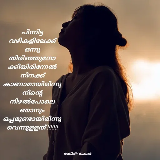 Quote by RENJITH VAYALAR - പിന്നിട്ട വഴികളിലേക്ക്  ഒന്നു തിരിഞ്ഞുനോക്കിയിരിന്നേൽ  നിനക്ക്  കാണാമായിരിന്നു നിന്റെ നിഴൽപോലെ ഞാനും ഒപ്പമുണ്ടായിരിന്നുവെന്നുളളത് !!!!!!! - Made using Quotes Creator App, Post Maker App