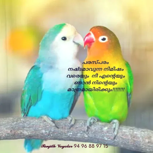 Quote by RENJITH VAYALAR - പരസ്പരം നഷ്ടമാവുന്ന നിമിഷം വരെയും  നീ എന്റെയും ഞാൻ നിന്റെയും മാത്രമായിരിക്കും!!!!!!!! - Made using Quotes Creator App, Post Maker App