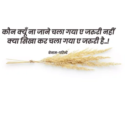 Quote by Payal Kodape - कौन क्यूँ ना जाने चला गया ए जरुरी नहीं
क्या सिखा कर चला गया ए जरुरी है..!

बेनाम-परिन्दे  - Made using Quotes Creator App, Post Maker App