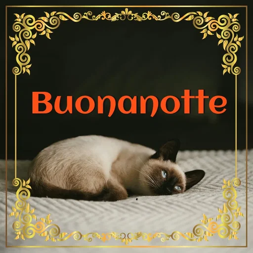 Quote by Simona Rosa (Nina L.) -  - Made using Quotes Creator App, Post Maker App