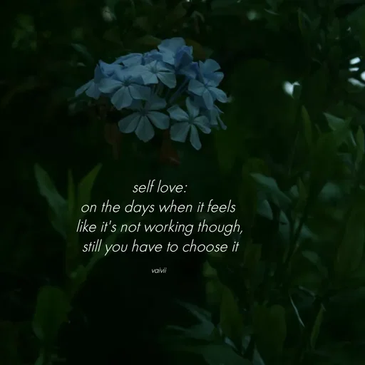 Quote by Vaivii Jaybhaye - self love:
on the days when it feels 
like it's not working though,
still you have to choose it

vaivii  - Made using Quotes Creator App, Post Maker App