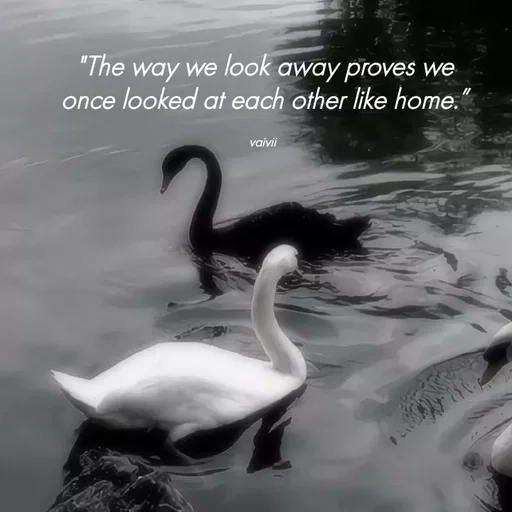 Quote by Vaivii Jaybhaye - "The way we look away proves we once looked at each other like home.”

vaivii  - Made using Quotes Creator App, Post Maker App