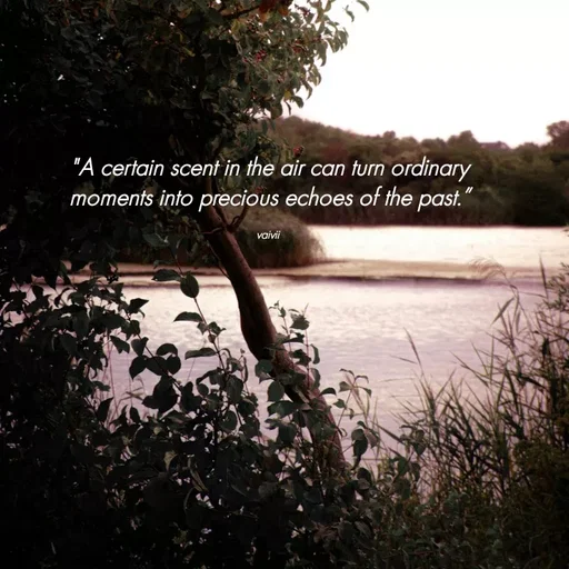 Quote by Vaivii Jaybhaye - "A certain scent in the air can turn ordinary moments into precious echoes of the past.”

vaivii  - Made using Quotes Creator App, Post Maker App