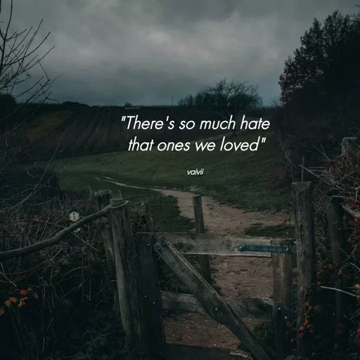 Quote by Vaivii Jaybhaye - "There's so much hate 
that ones we loved"

vaivii  - Made using Quotes Creator App, Post Maker App