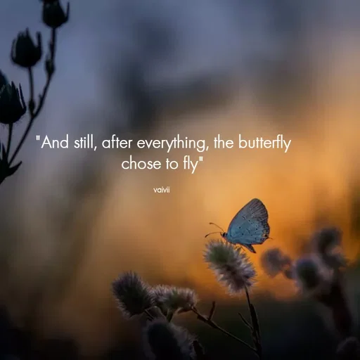 Quote by Vaivii 🎀 - "And still, after everything, the butterfly chose to fly"

vaivii  - Made using Quotes Creator App, Post Maker App