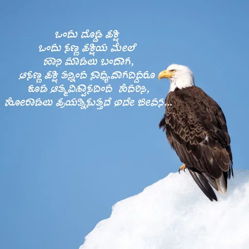 Quote by G. Ramesh - ಒಂದು ದೊಡ್ಡ ಪಕ್ಷಿ 
ಒಂದು ಸಣ್ಣ ಪಕ್ಷಿಯ ಮೇಲೆ 
ಹಾನಿ ಮಾಡಲು ಬಂದಾಗ,
ಆಸಣ್ಣ ಪಕ್ಷಿ ತನ್ನಿಂದ ಸಾಧ್ಯವಾಗದಿದ್ದರೂ 
ಕೂಡ ಆತ್ಮವಿಶ್ವಾಸದಿಂದ  ಹೆದರಿಸಿ,
ಹೋರಾಡಲು ಪ್ರಯತ್ನಿಸುತ್ತದೆ ಅದೇ ಜೀವನ... - Made using Quotes Creator App, Post Maker App