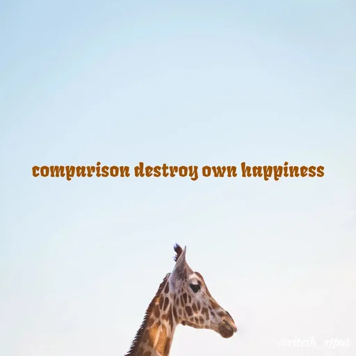 Quote by Ritesh Singh - comparison destroy own happiness
 - Made using Quotes Creator App, Post Maker App
