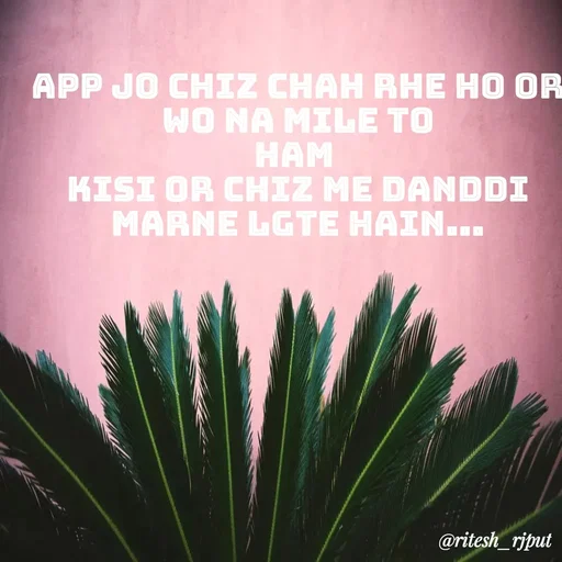 Quote by Ritesh Singh - app jo chiz chah rhe ho or wo na mile to
ham 
kisi or chiz me danddi Marne lgte hain... - Made using Quotes Creator App, Post Maker App