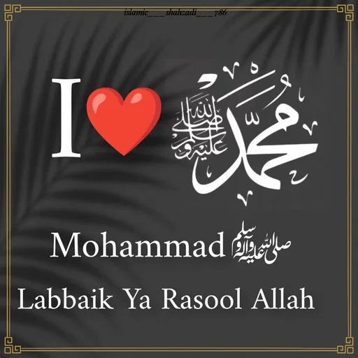 Quote by islamic__786 - Double tap to change text. - Made using Quotes Creator App, Post Maker App