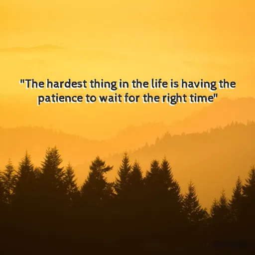 Quote by Bhumi Chourasiya - "The hardest thing in the life is having the patience to wait for the right time" - Made using Quotes Creator App, Post Maker App